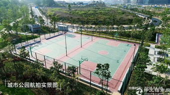光明新區(qū)全新紅本廠房招租60000