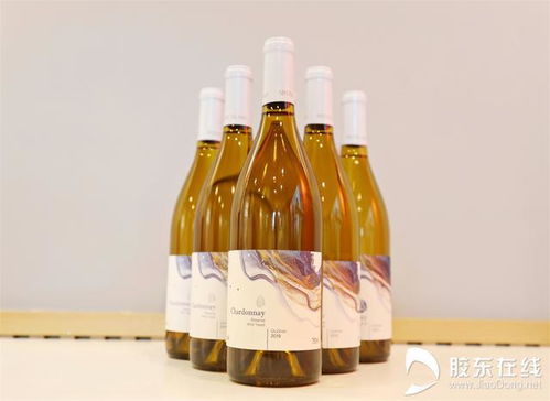 醇香煙臺 微醺世界 仙島酒莊 釀一瓶丘山谷風(fēng)土的精品酒莊酒