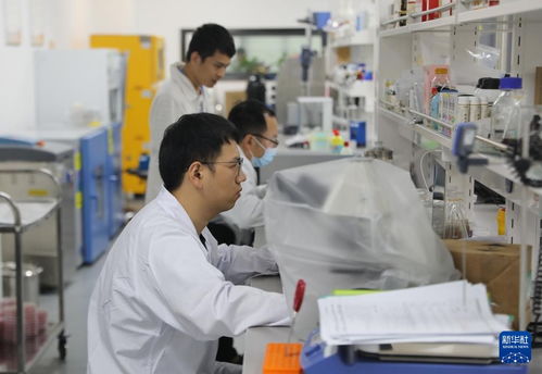 高質(zhì)量發(fā)展調(diào)研行丨南昌 江中藥谷 打造綠色生態(tài)美麗工廠