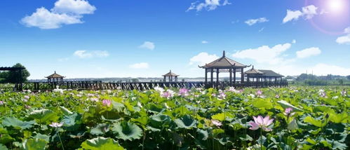 一場(chǎng)詩意般的生活美學(xué), 鎮(zhèn) 向你翩然走來