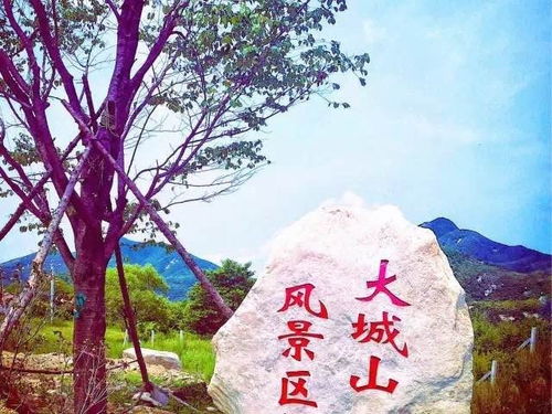 5月19日 丹東部分景區(qū)門票免費(fèi)或半價(jià)開放